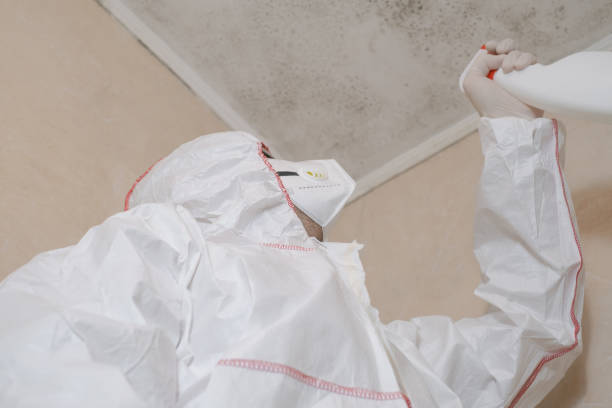Best Professional Mold Removal  in Lugoff, SC